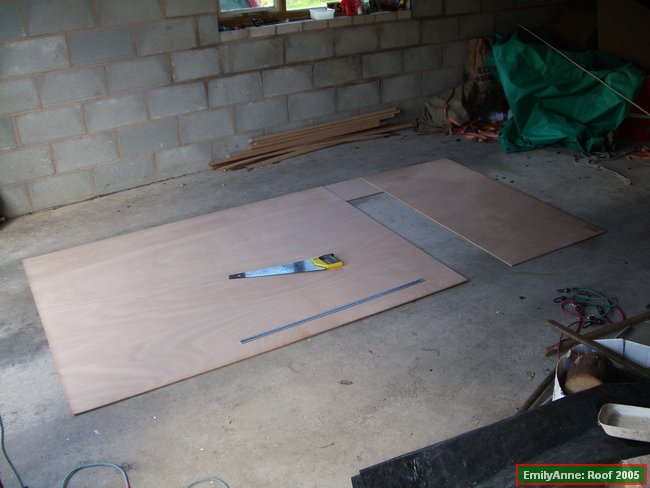 41-The ply-yes that was a 10x5 ft sheet!.JPG