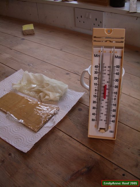 y20-a small peice use to monter curing, and the therometer.JPG